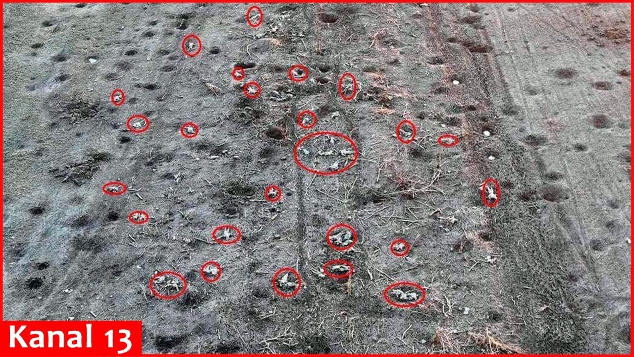 Corpses of up to 70 attacking Russian trooops scattered in the steppes of Bakhmut