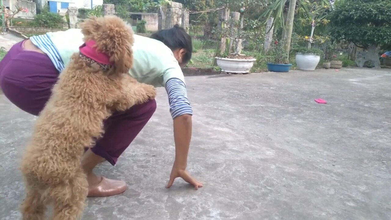 farmer and Cute puppy make bare family life full of fun