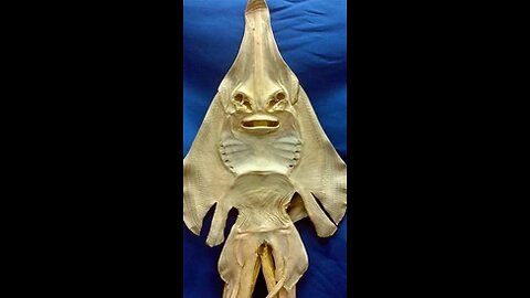Jenny Hanivers
