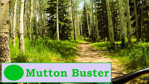 Mutton Buster - Powderhorn