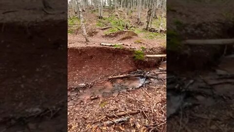 A large hiking trail in Canada