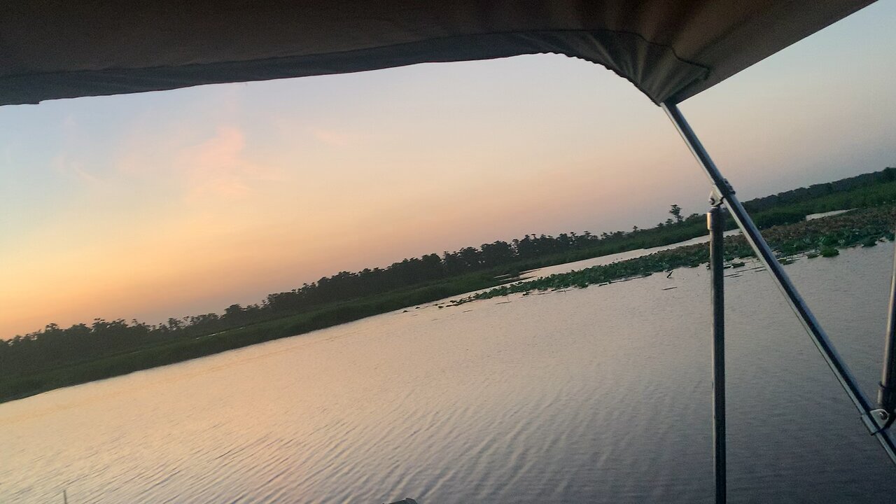 SunSet in da swamp!