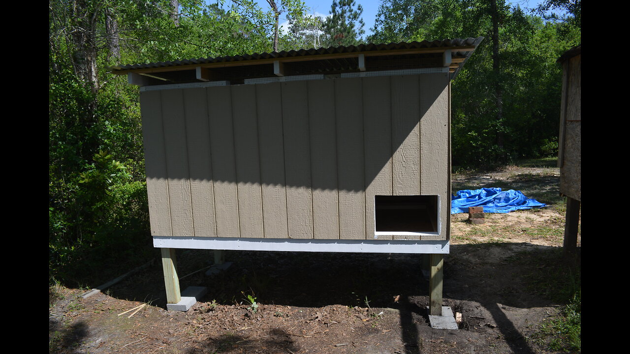 "Egg-citing Build: Our DIY Chicken House Is Every Chicken's Dream!"