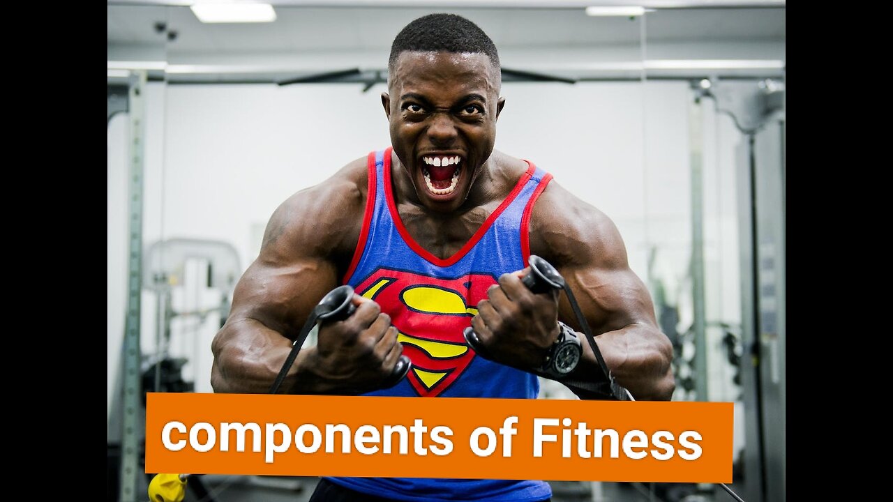 Components of Fitness