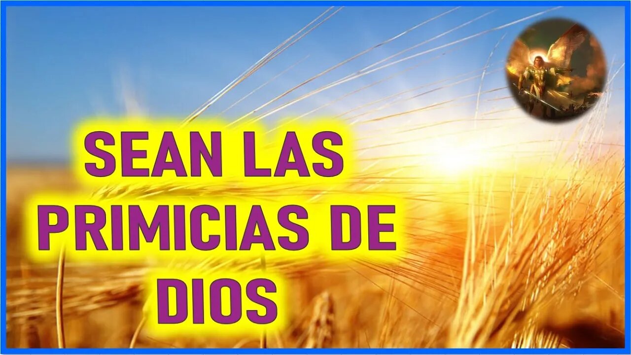 MENSAJE DE SAN MIGUEL ARCANGEL A LORENA - SEAN LAS PRIMICIAS DE DIOS