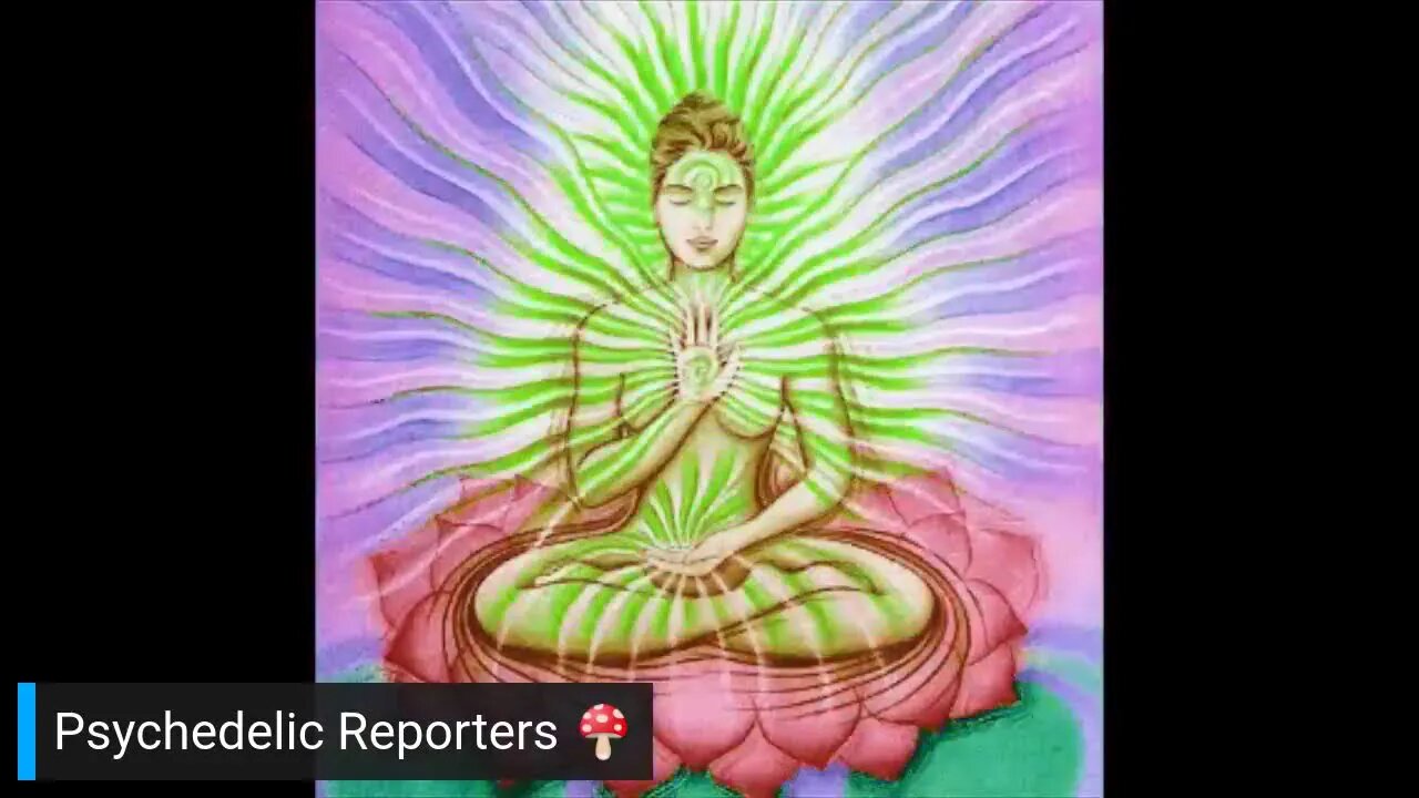 Psychedelic Reporters Ep19