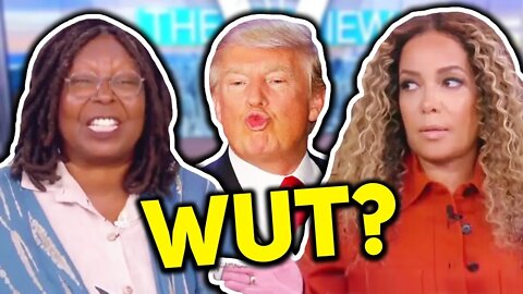 WOW: The View Hosts CLASH Over Stolen Elections