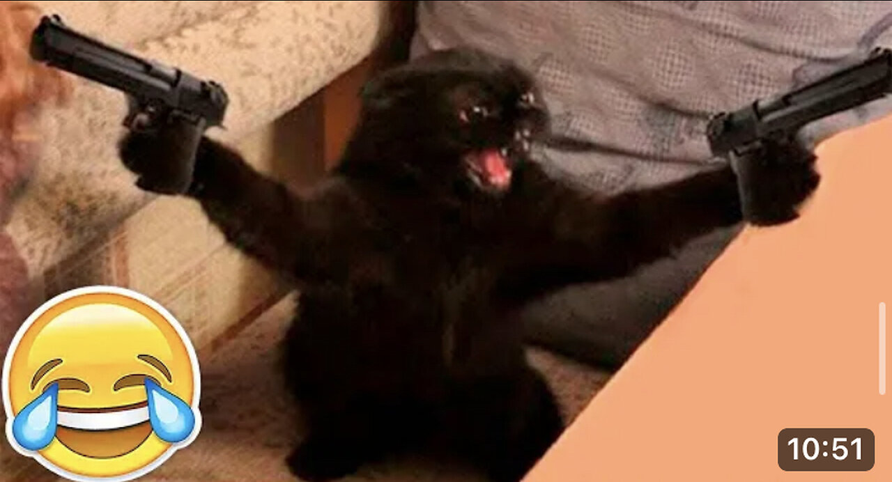 New Funny Animals 😂🤣& Funniest Cats and Dogs Videos 😂😁😅