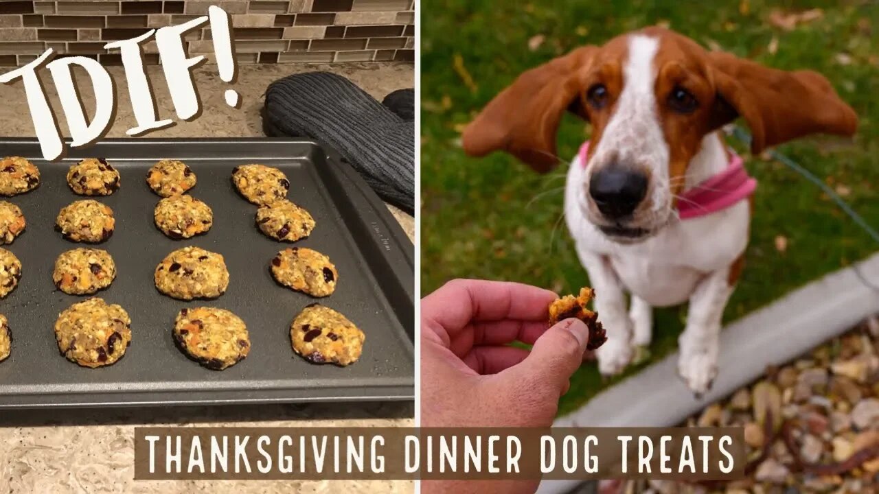 TDIF! Thanksgiving Dinner Dog Treats