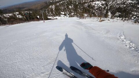 Bogus Basin Ski Resort ~ Blue Bird at Bogus