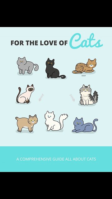 "Would you watch it?" #viral #cats #kittens