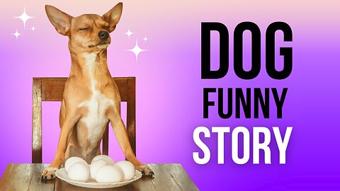 Funny Dog Story