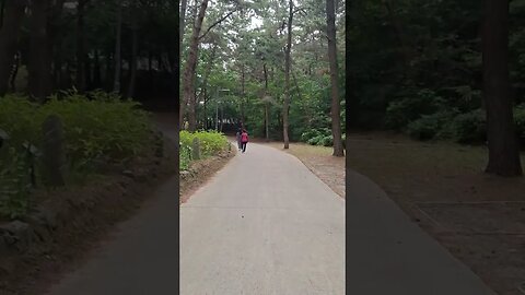 충남 서천군 국립희리산해송자연휴양림