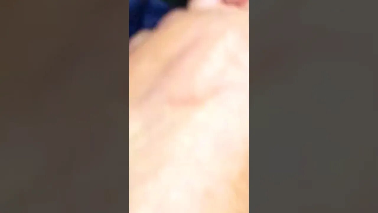 #homeless #targetedindividual tortured by ants Pt. 2