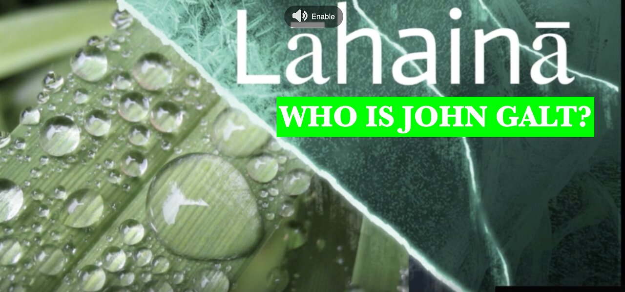 PHIL G W/ LAHAINA- WHAT HAPPENED, HOW AND WHY. THX John Galt