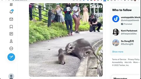水獺幼崽需要媽媽和爸爸的一點鼓勵