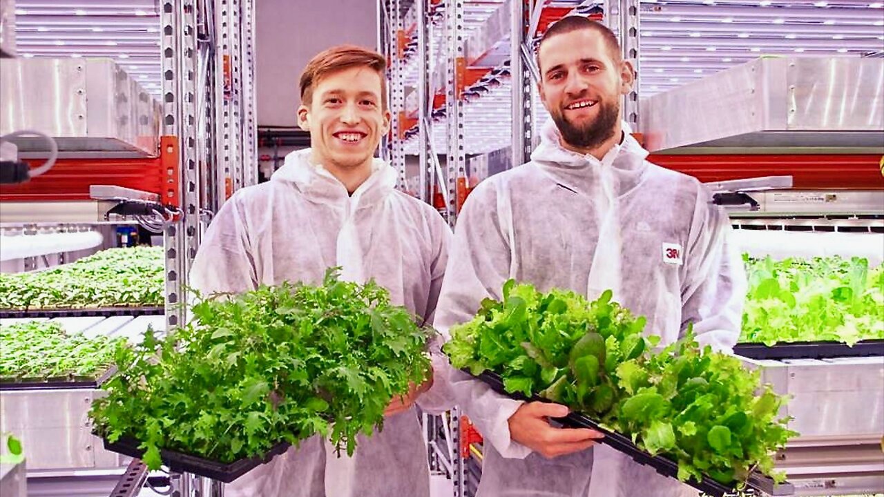 Underground Farm Produces Over 2 Tons of Food Monthly