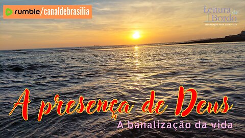 A presença de Deus XCII - A banalização da vida