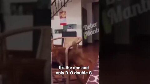 It's the one and only D-O double G #shorts