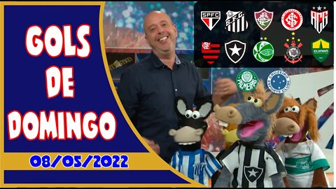 TODOS OS GOLS DESTE DOMINGO 08/05/2022 GOLS DO BRASILEIRÃO SÉRIE A, B, C, E+