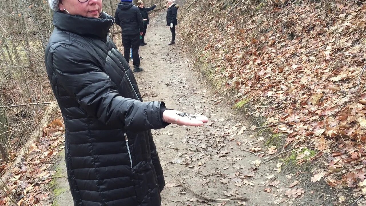 Hand feeding the birds on a cold, windy wintry day