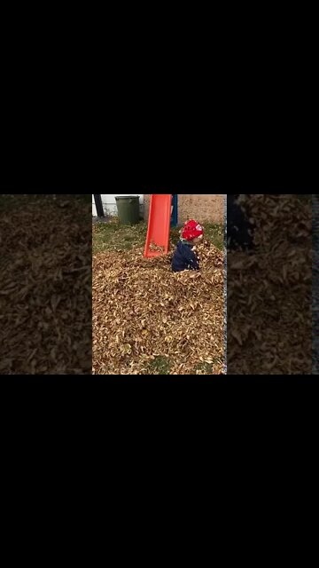 Daughter's Leaf Surprise