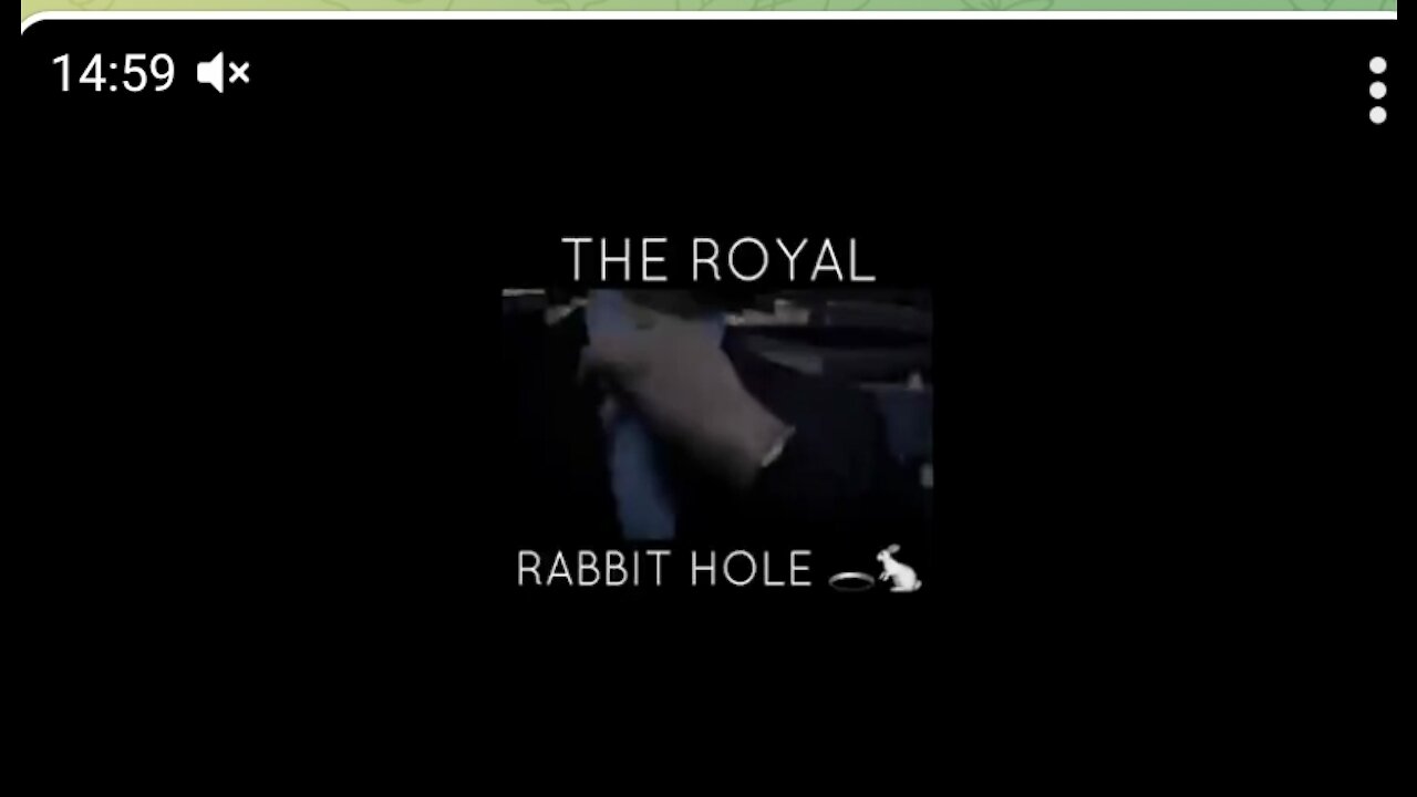 ⁣THE ROYAL RABBIT HOLE