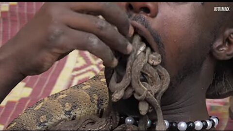 Man covered with thousands of snakes on his body: extraordinary man