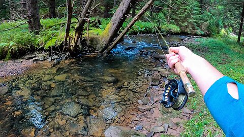 Creek Fishing some INCREDIBLE Water For Trout!!