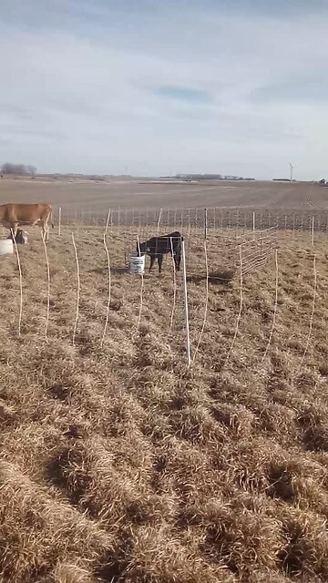 Opening Day of 2024 Season!