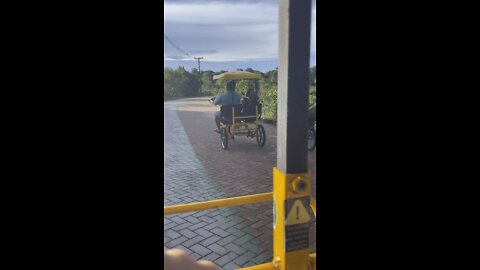 Bike in Utinga Park, Belém, Brasil