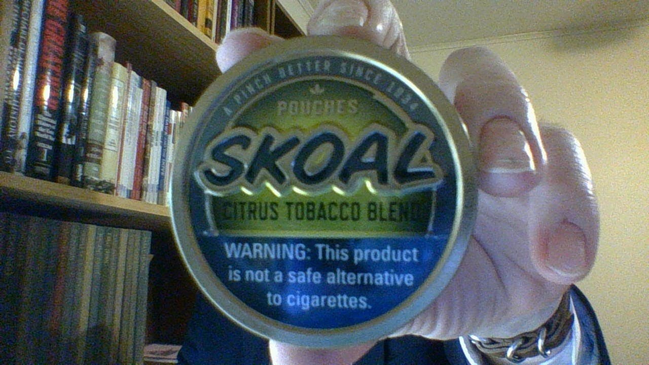 The Skoal Citrus Tobacco Blend Pouches Review