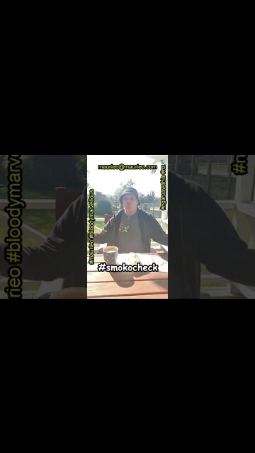 #maurieo #shorts DONUT ON A SUNNY DAY