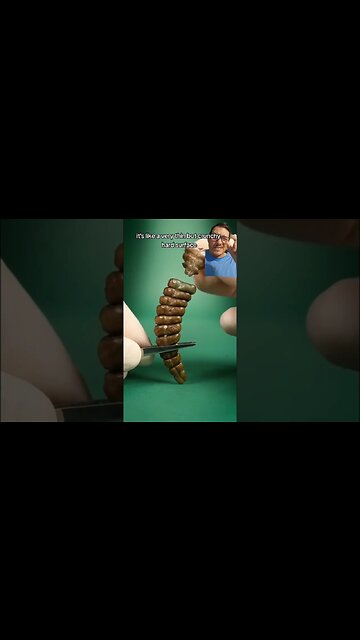 What are Rattlesnake Rattles made of?