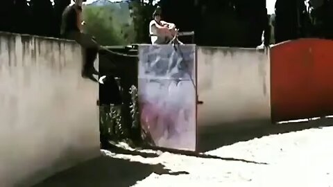 Horse vs Bull