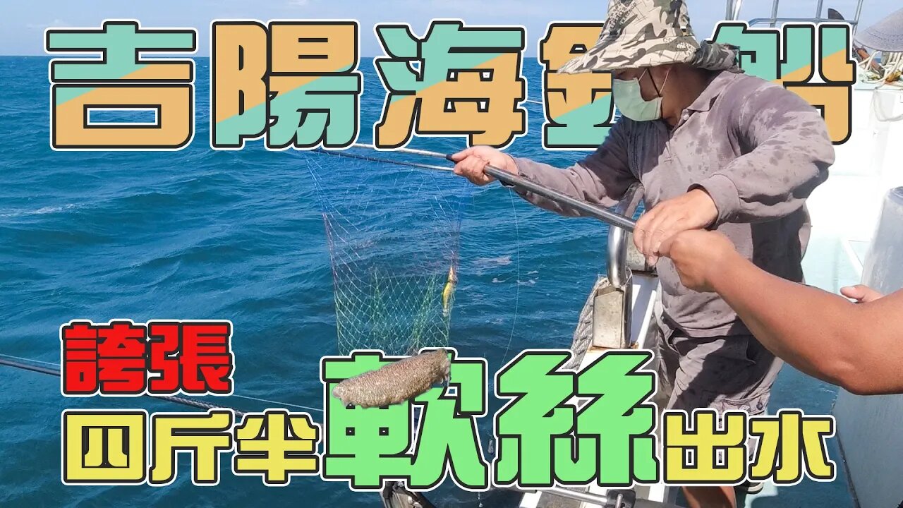 【台客去船釣】花軟季節正式開跑！耍廢兄妹第一次釣花軟竟然釣到了這些奇怪生物？feat.吉陽休閒娛樂海釣船