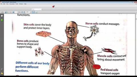 Science Class 6 1 4 2021