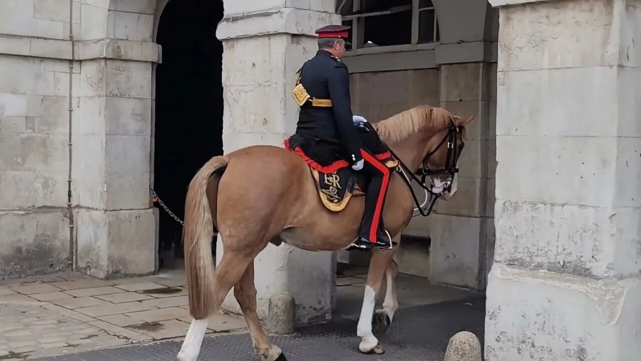 Colonal takes horse back to the stables #horseguardsparade