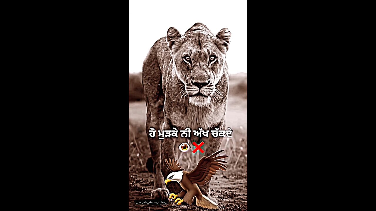 Punjabi song