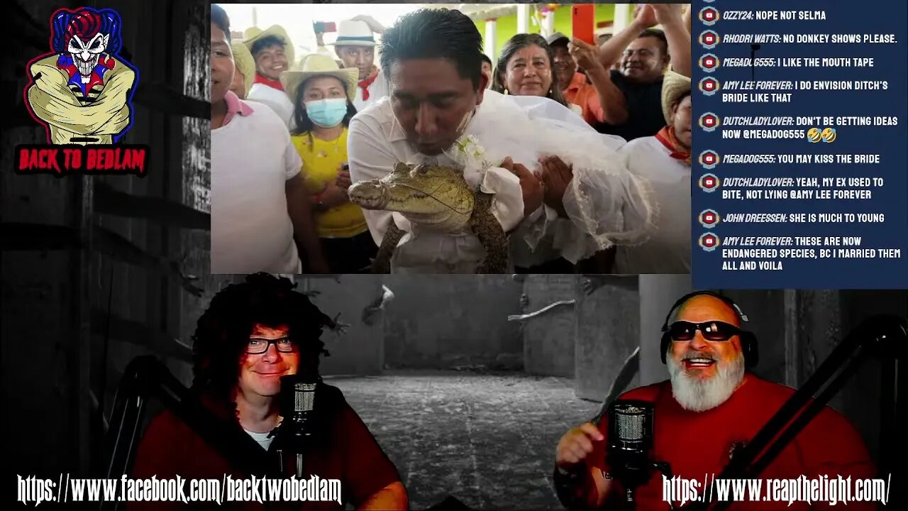 Back to Bedlam - Mexican politician 'marries' alligator, Forgotten 80’s Music Videos