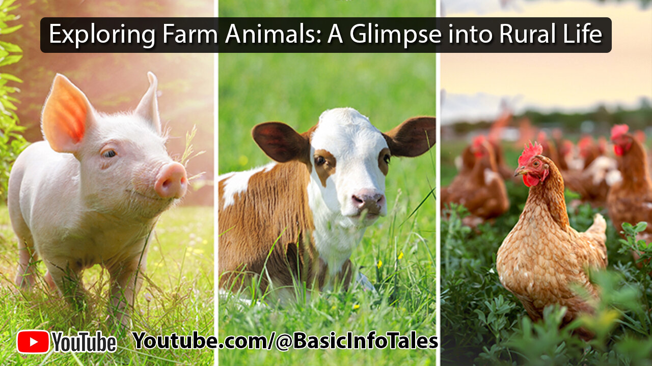 Exploring Farm Animals: A Glimpse into Rural Life