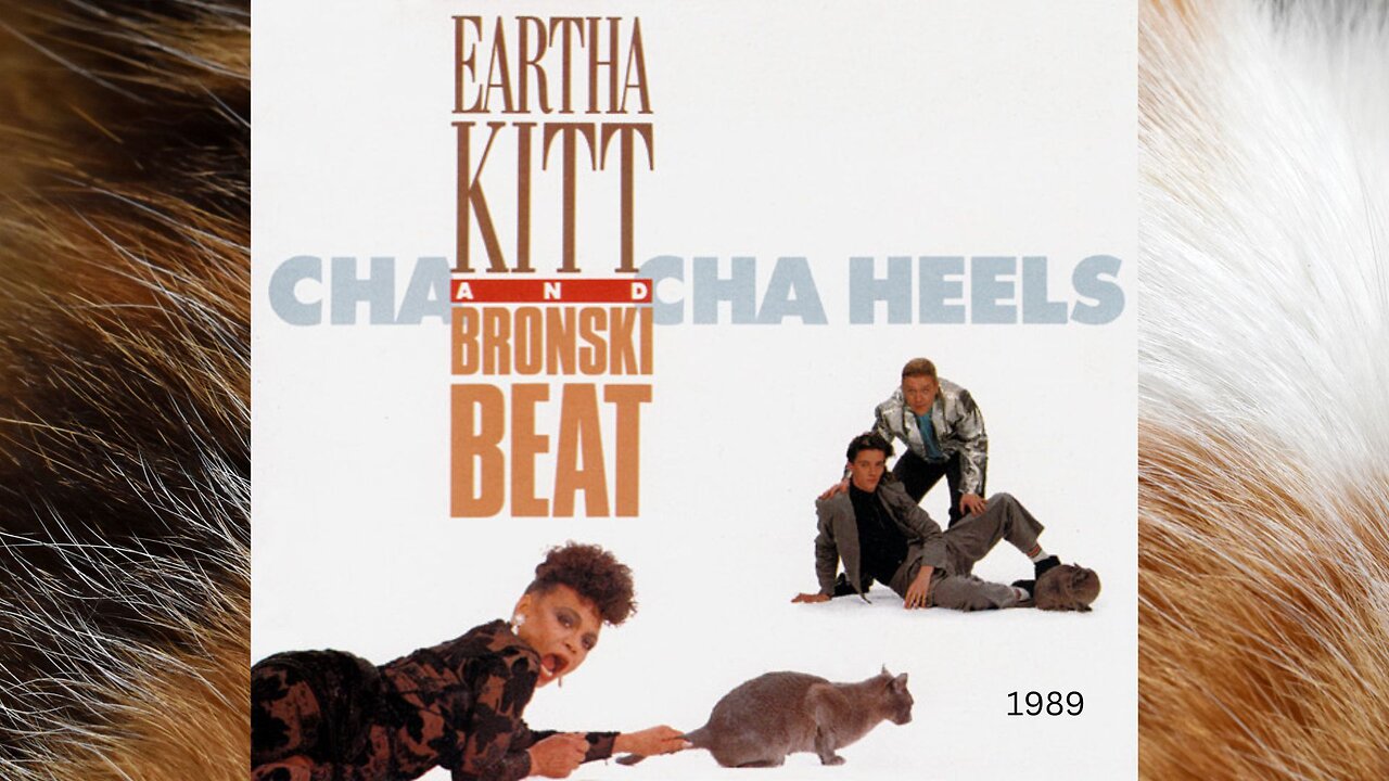 🎶 Cha Cha Heels 👠 (1989) | Music Video | Eartha Kitt & Bronski Beat | Classic Italo Disco 🇮🇹 💃 🕺🏻 🪩