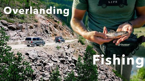 Overlanding Colorado's Cinnamon Pass | Broke my Fly Fishing Rod | Cold Plunge in a Mountain Creek