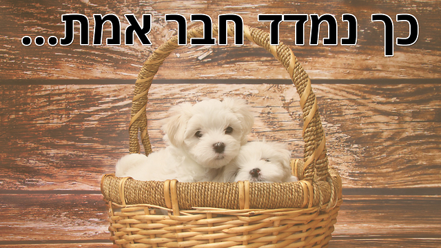ברכה מרגשת לחבר אמת