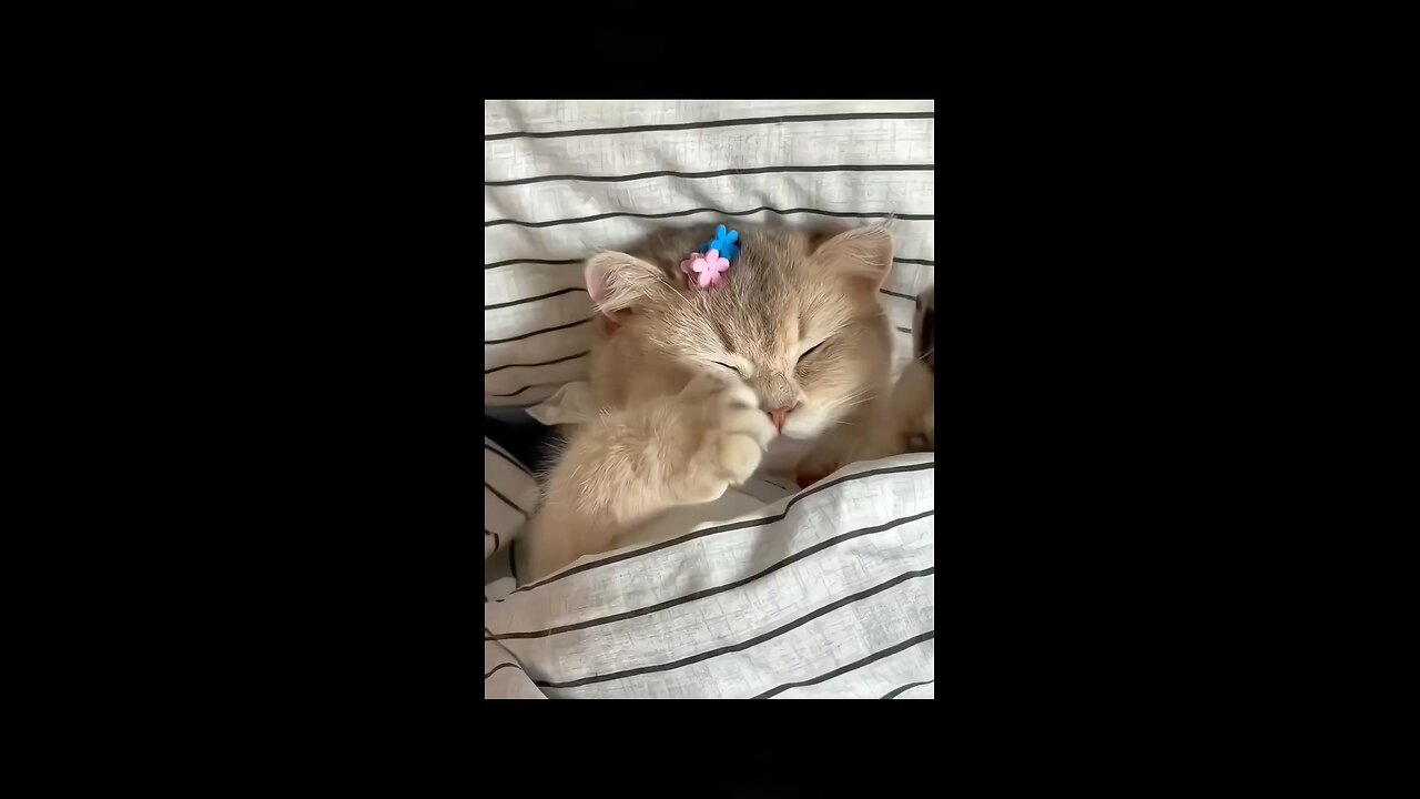 🧡🧡🧡🧡