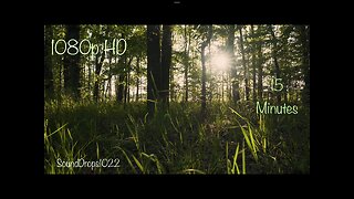 Soothing Nature Sounds Video 15 Minutes