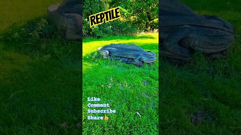 Reptile🦎 #nature #naturelovers #woodcarving #woodsculpture #woodworking #reptiles #outdoors #wild