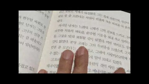 새는 날아가면서 뒤돌아보지 않는다, 류시화, 어머니 고래, 삶이 알아서하리라, 잘못 베낀삶, 추장, 숨은여행, 삶이 나에게 가르쳐 준 것들, 하늘 호수로 떠난 여행, 산문집, 청춘