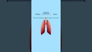 Duvido você passar nesse teste de pulmão
