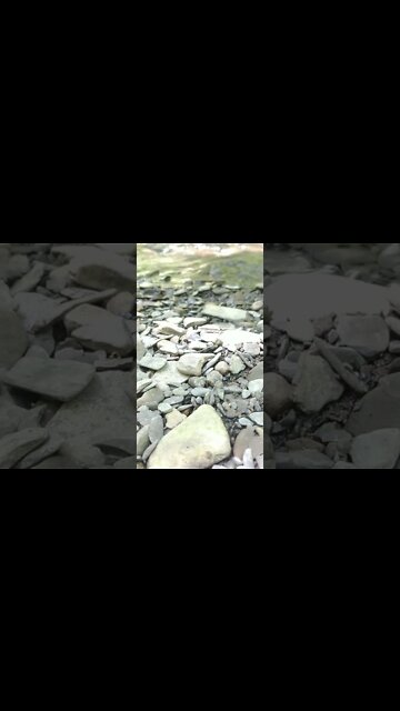 ASMR | Nature Sounds | Water